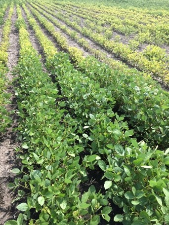 AGG-IDC-Blog-Photo-2-1